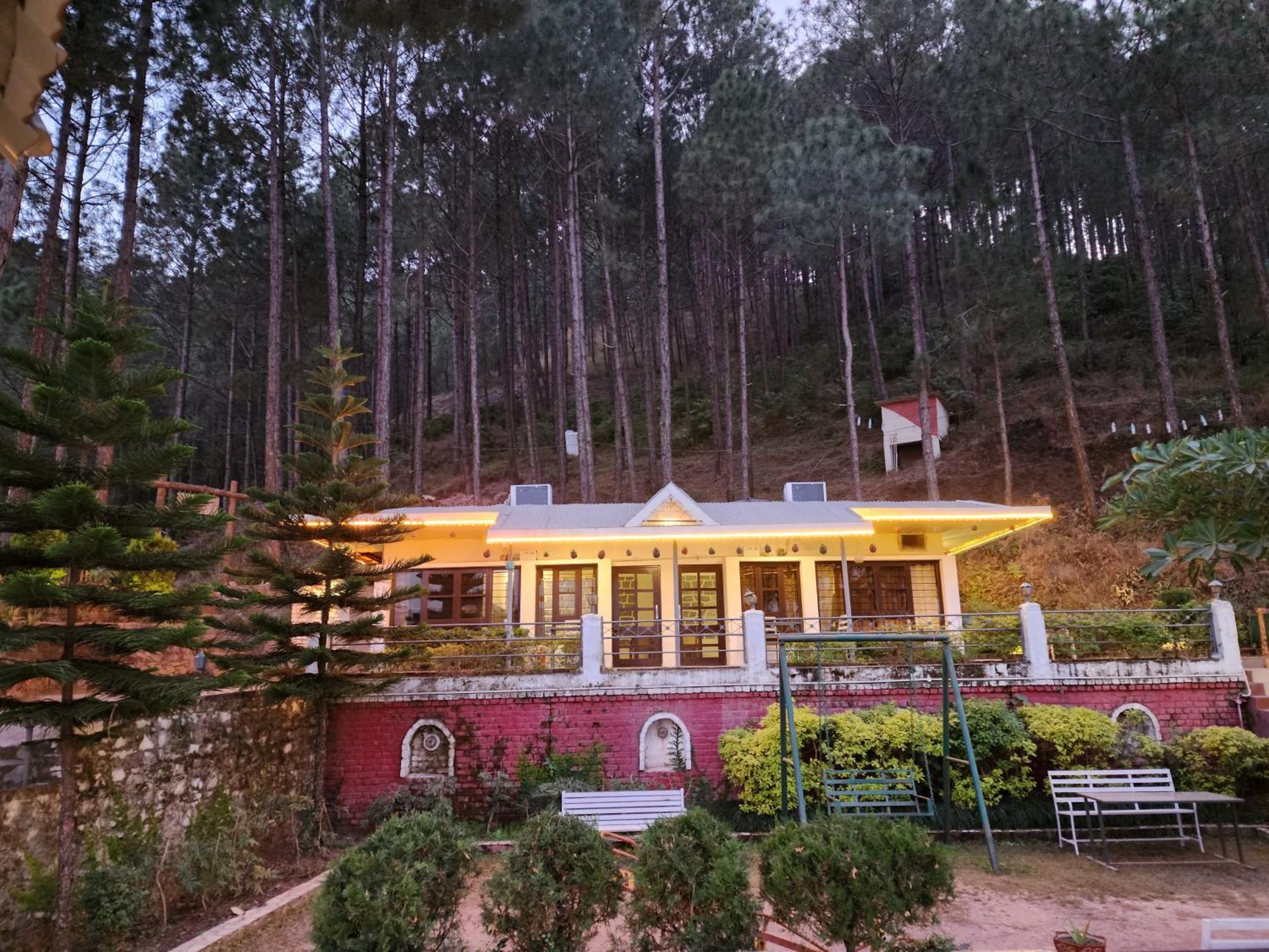 Pine Valley Resort Kasauli Exterior foto