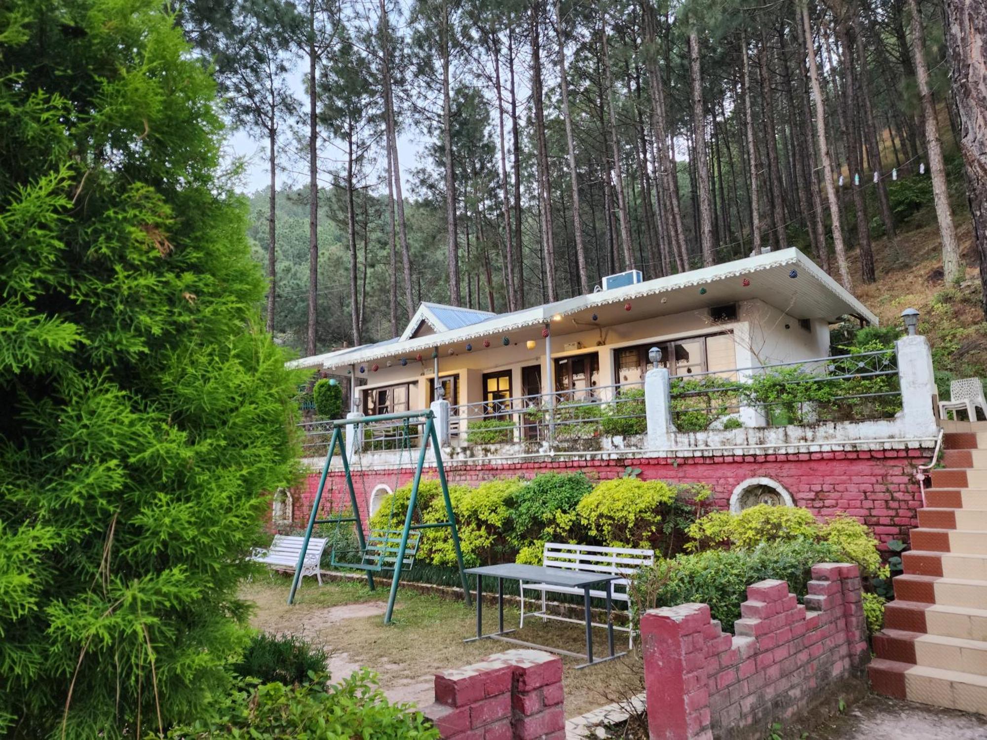 Pine Valley Resort Kasauli Exterior foto