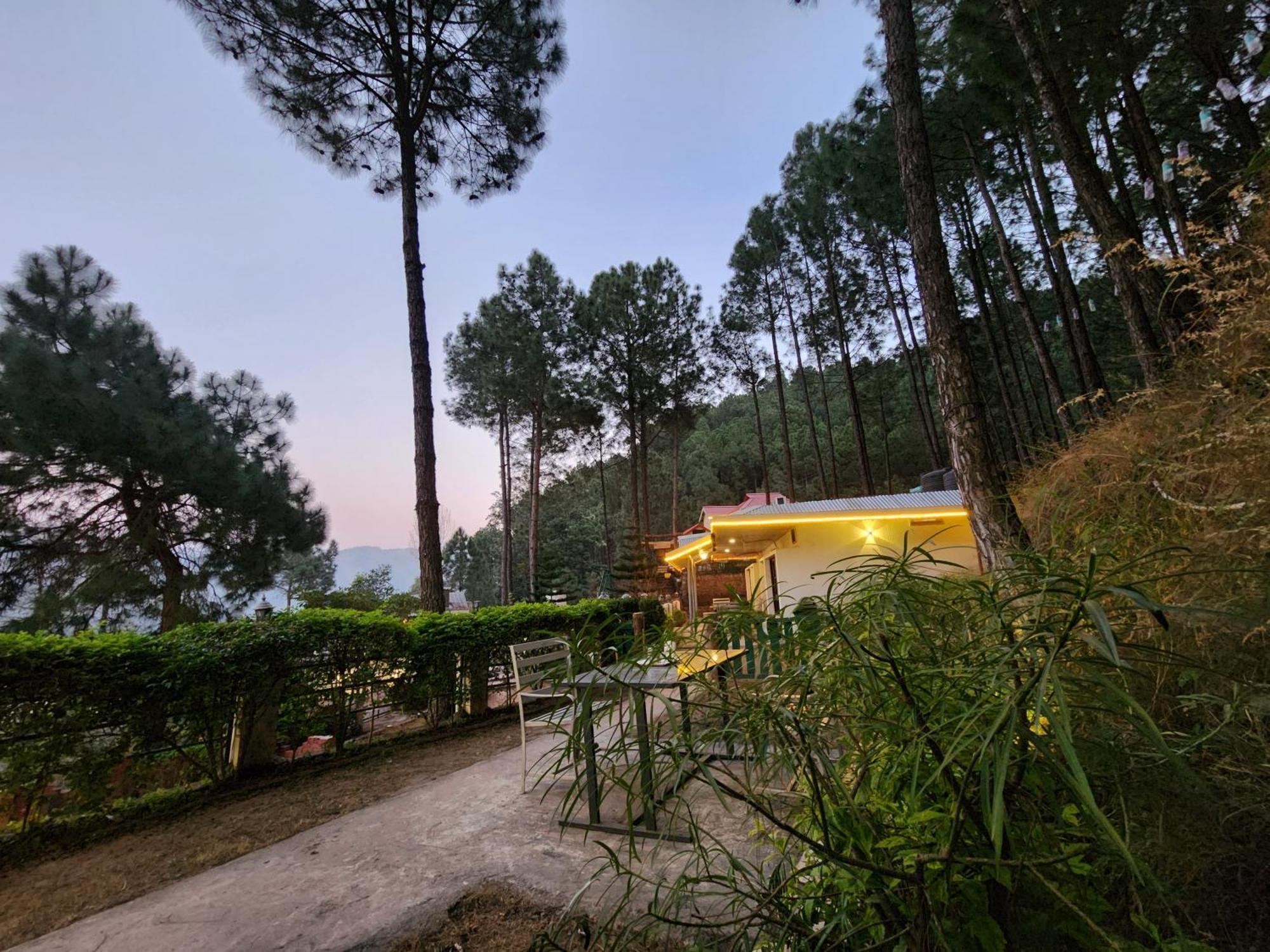 Pine Valley Resort Kasauli Exterior foto