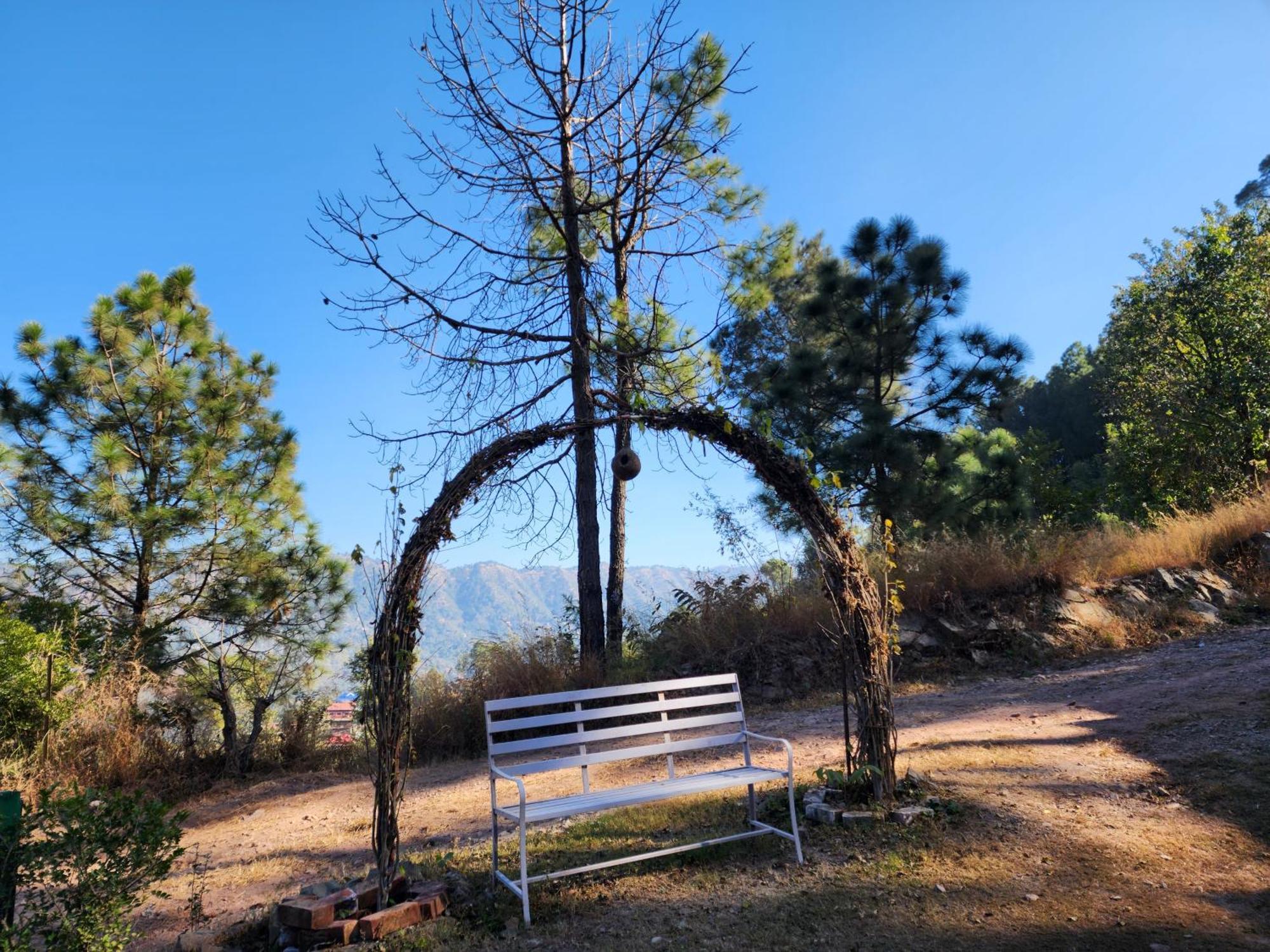 Pine Valley Resort Kasauli Exterior foto