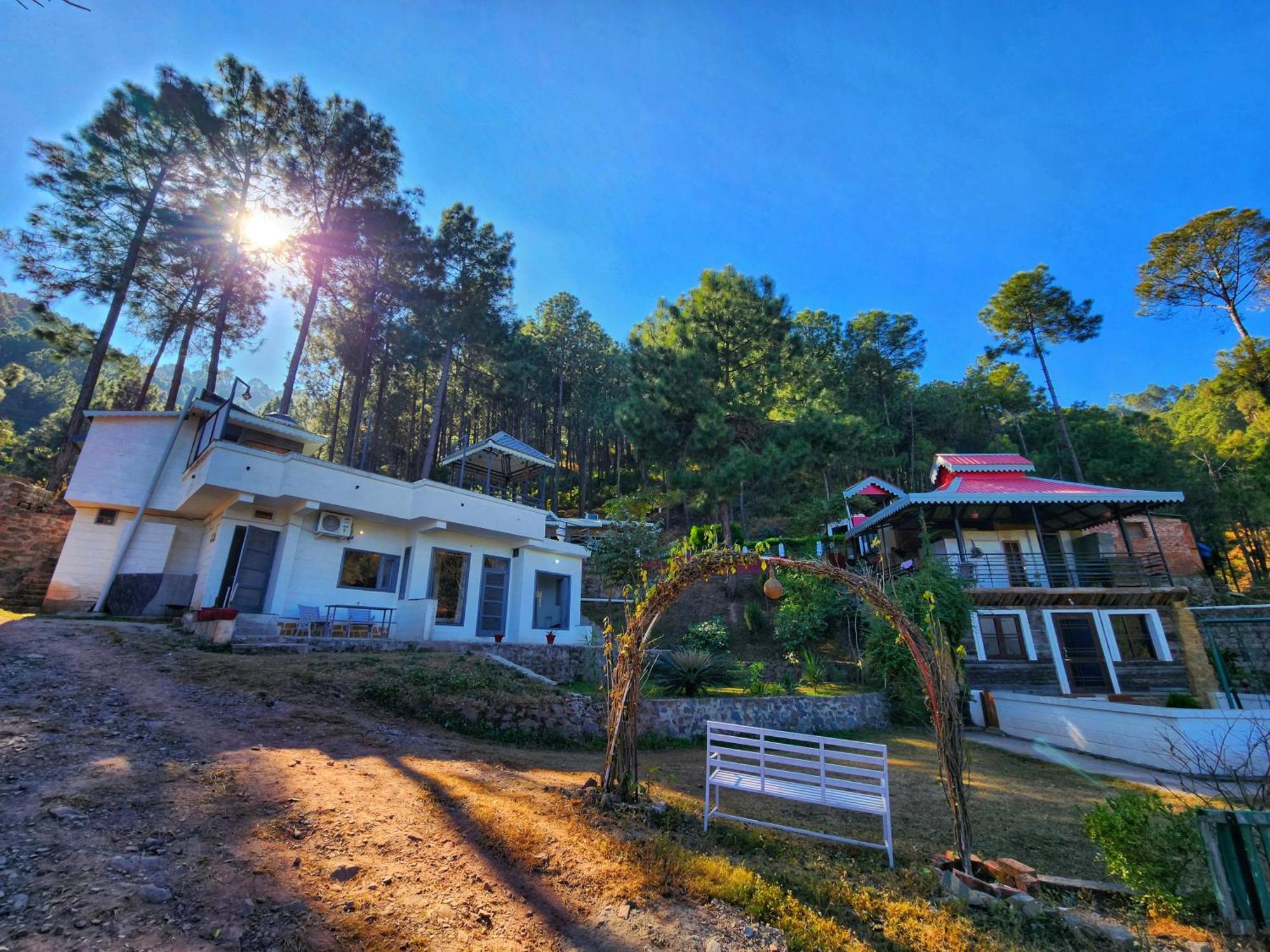 Pine Valley Resort Kasauli Exterior foto
