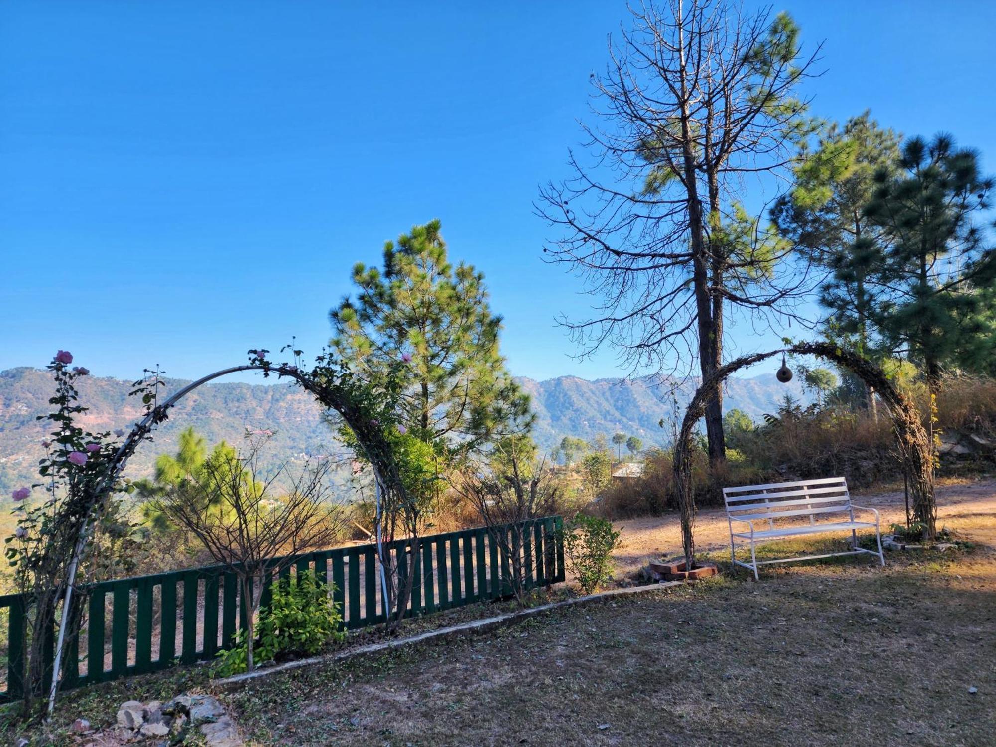 Pine Valley Resort Kasauli Exterior foto