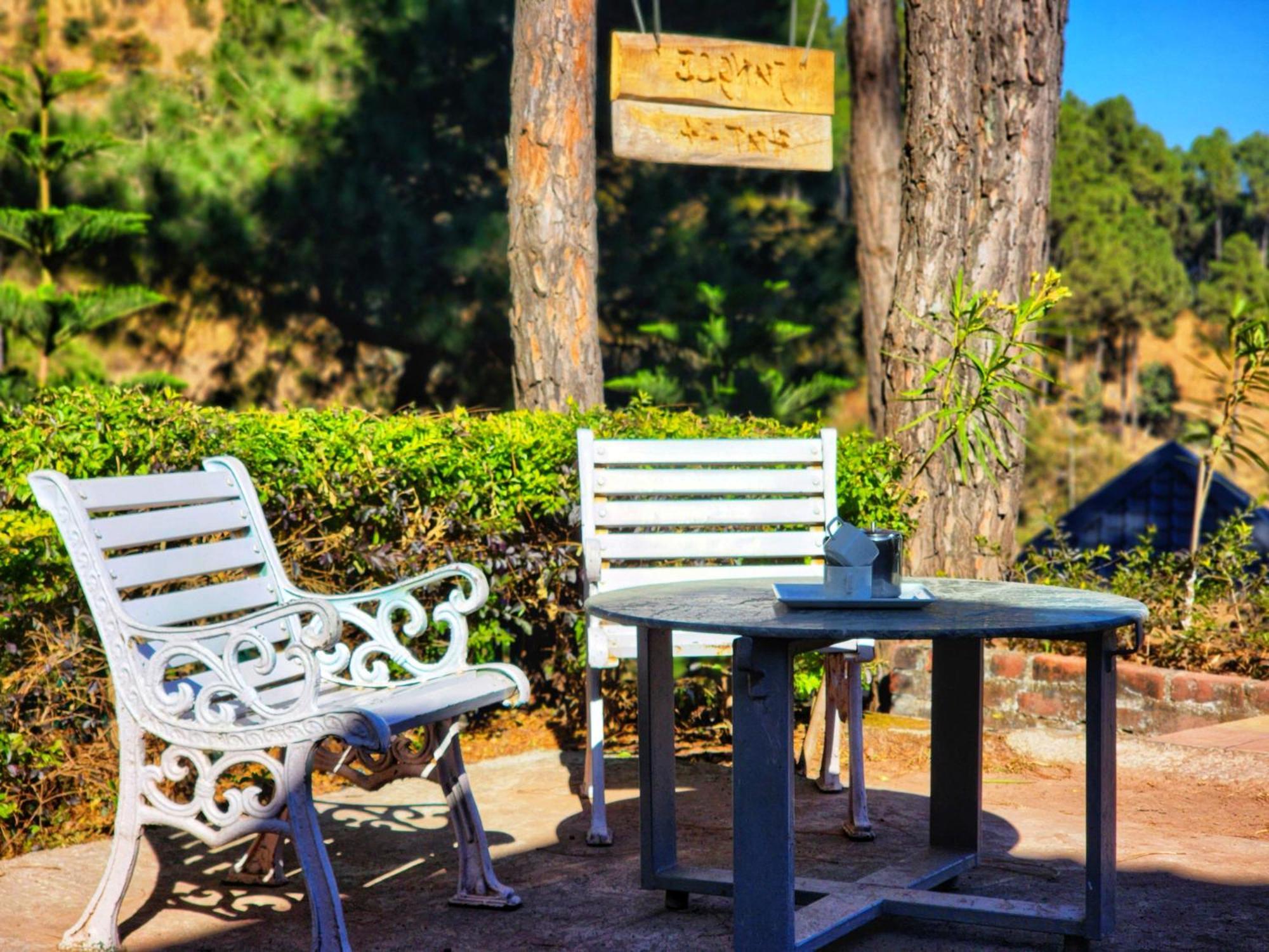 Pine Valley Resort Kasauli Exterior foto